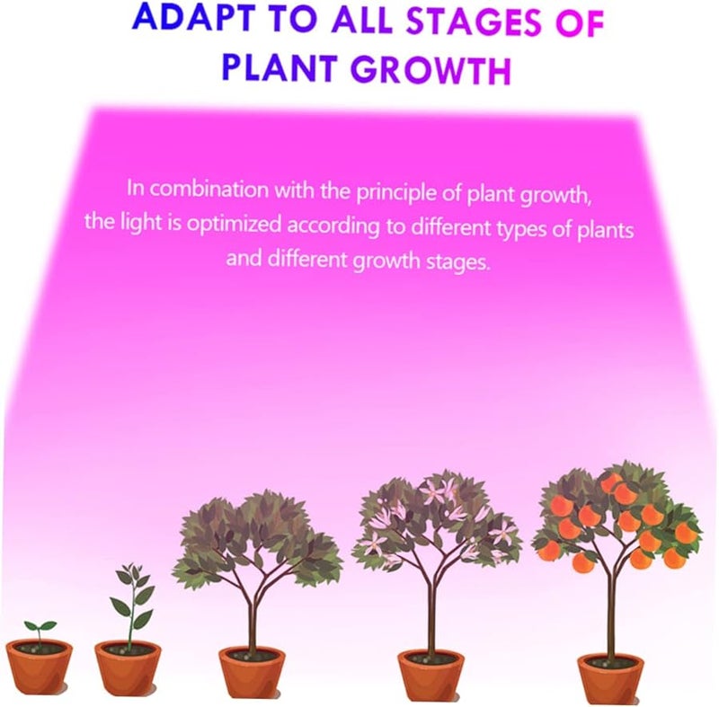 BESPORTBLE USB LED Grow Light Strip Full Spectrum Touch Dimming for Indoor Plants - Image 5